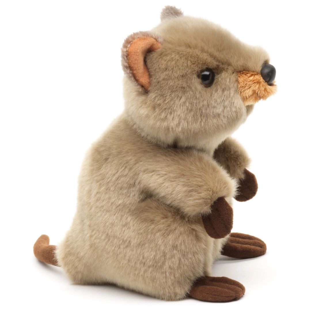 Quokka gosedjur - Naturboden