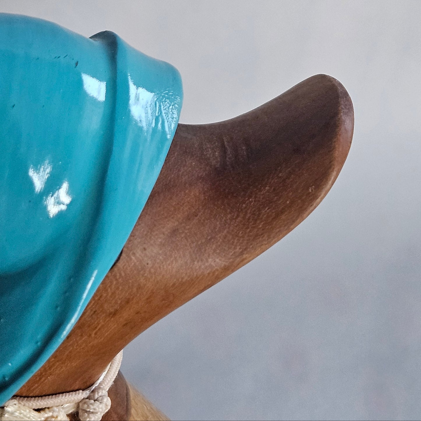 närbild näbb Robin anka i bambu - Naturboden