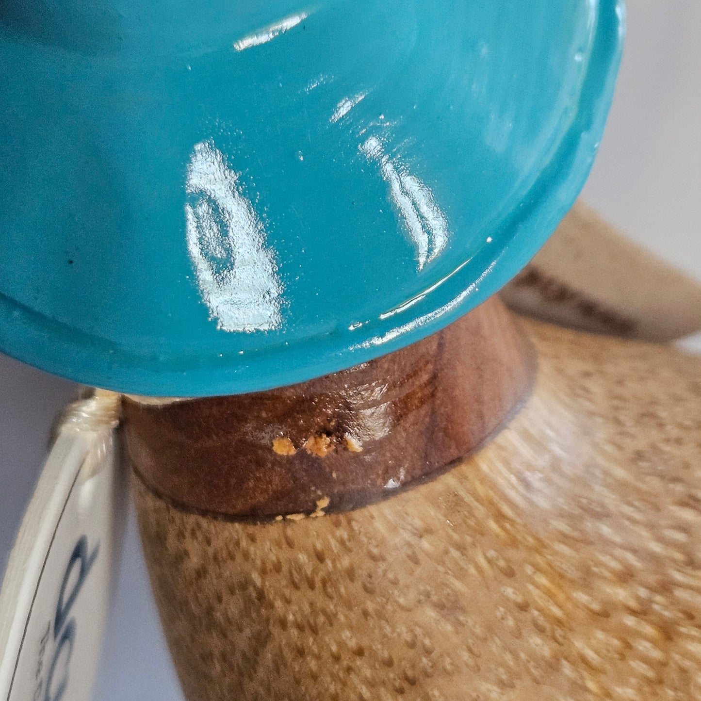 Närbild nacke anka i bambu med blå hatt - Naturboden