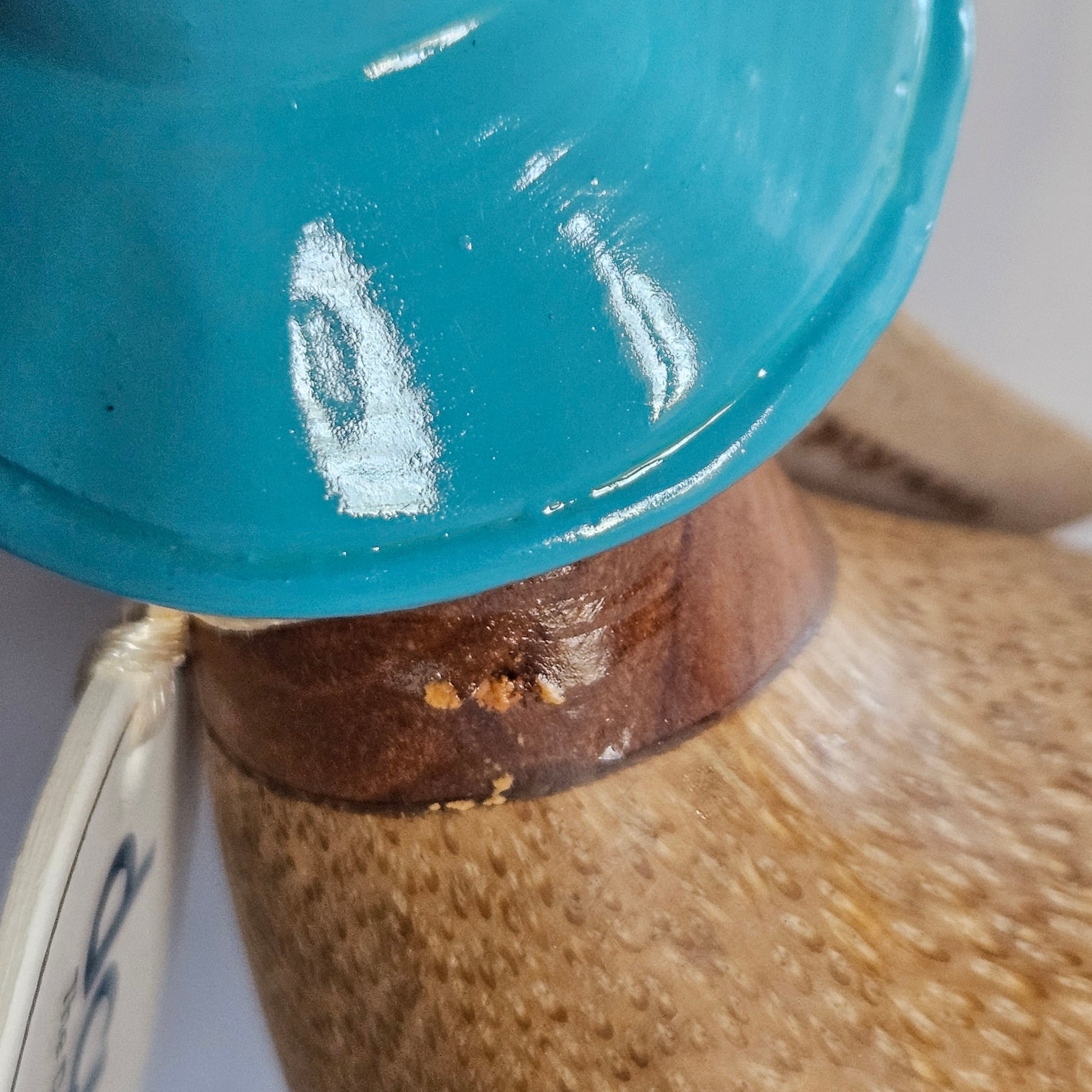 Närbild nacke anka i bambu med blå hatt - Naturboden