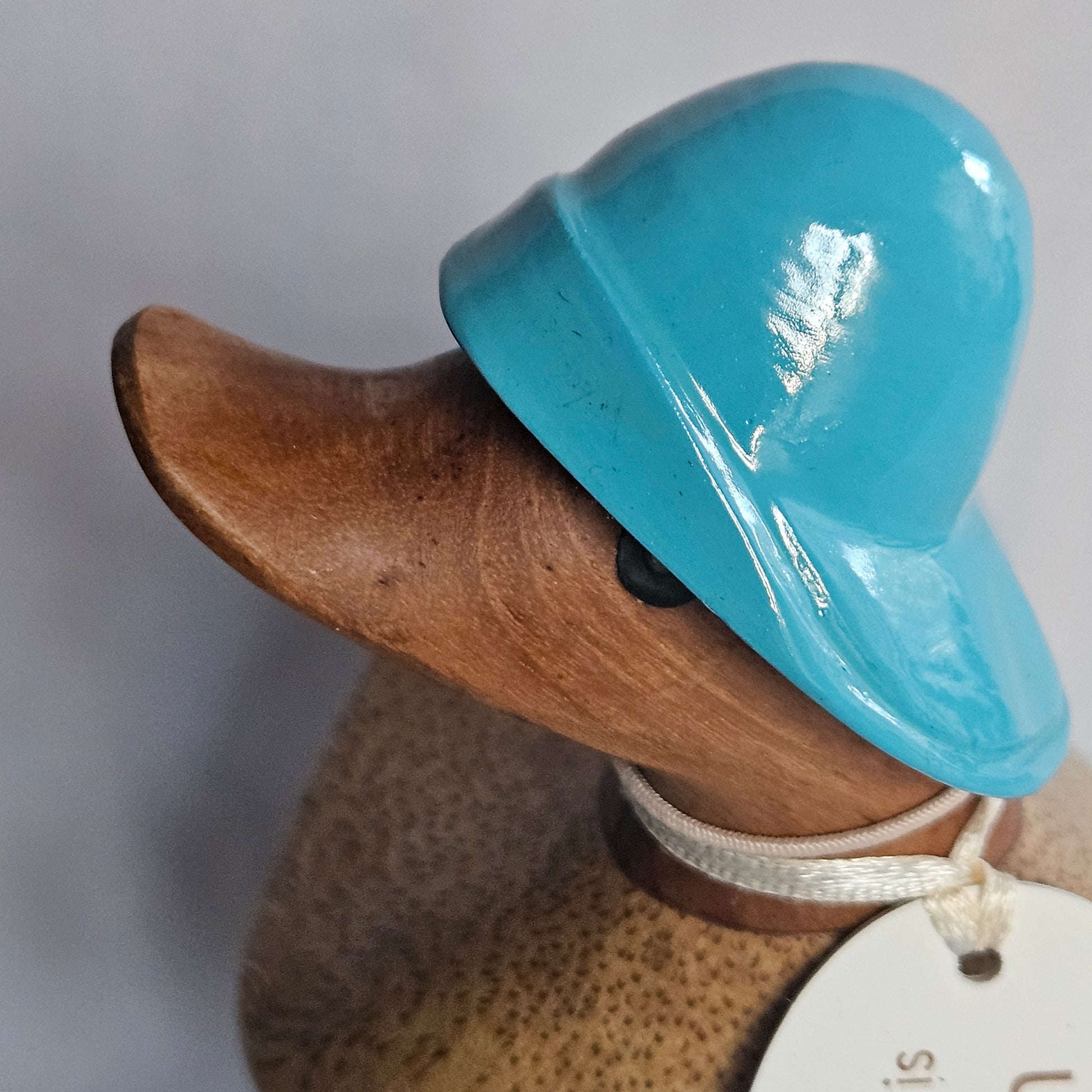 Robin blå hatt anka i bambu - Naturboden