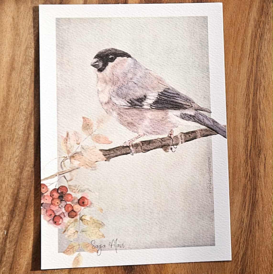 Stort vykort med fru domherre