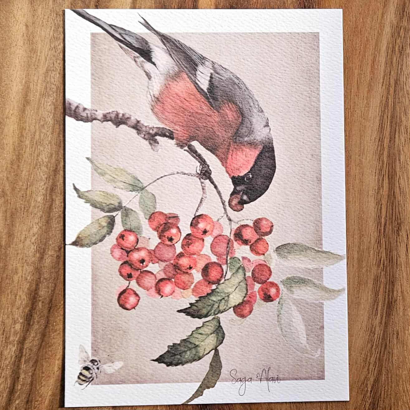 Stort vykort med herr domherre