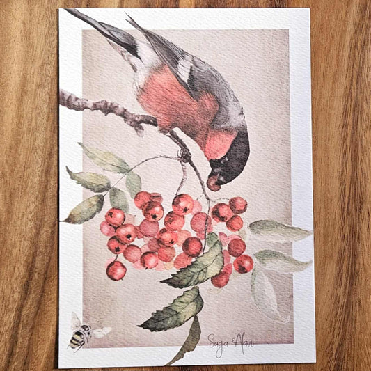 Stort vykort med herr domherre - Naturboden