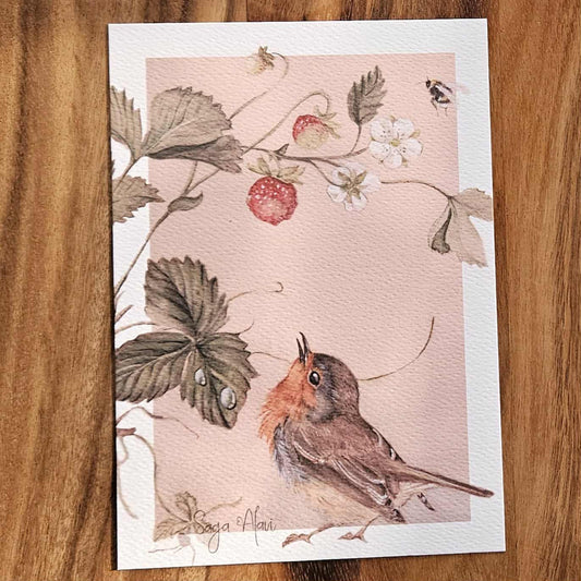 Stort vykort med rödhake och smultron - Naturboden