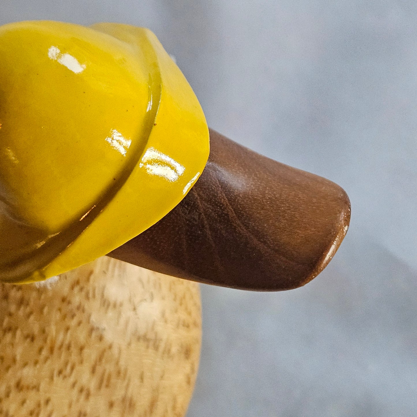 Theo gul Dcuk näbb och hatt närbild - Naturboden