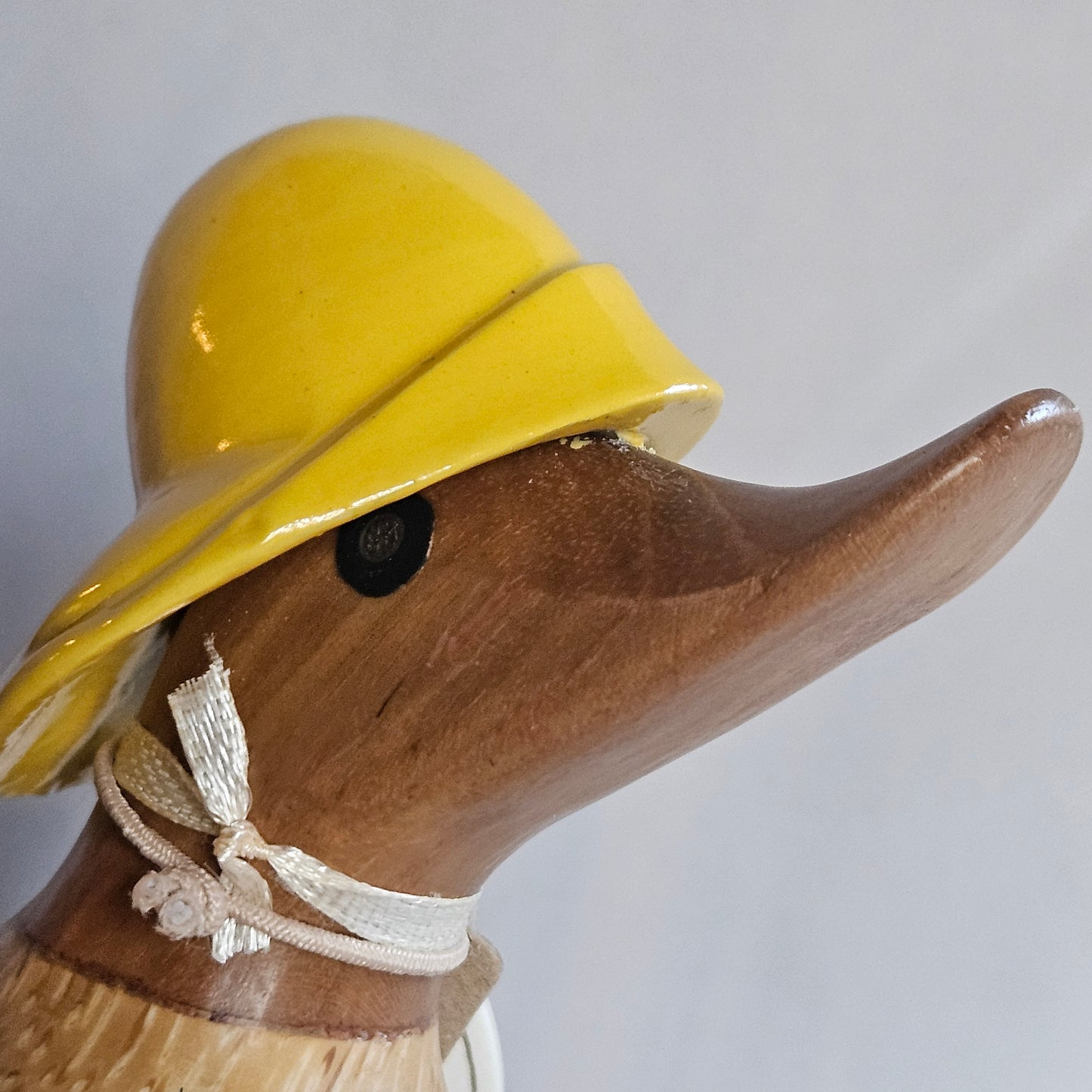 Theo närbild näbb anka i bambu rainy day - Naturboden