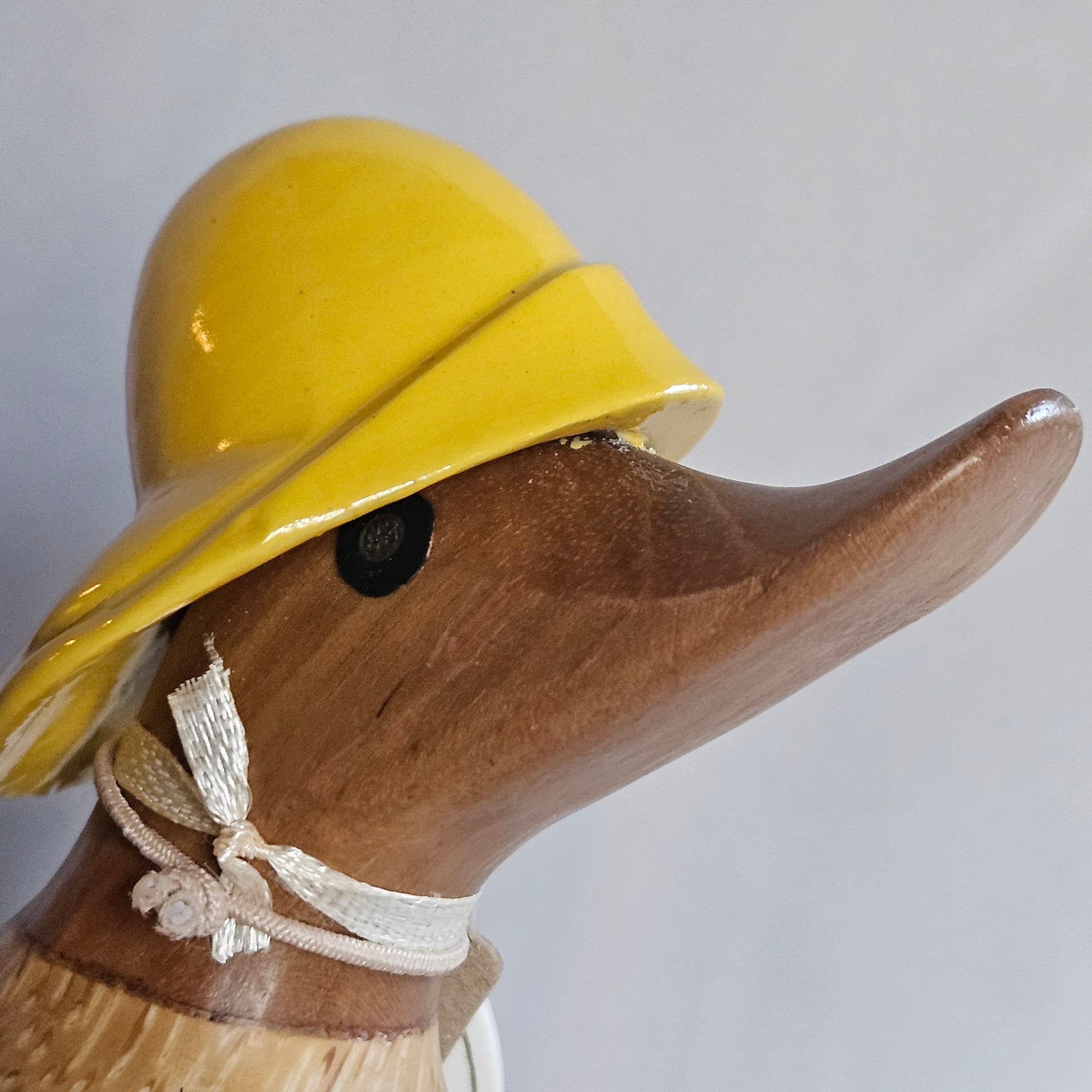 Theo närbild näbb anka i bambu rainy day - Naturboden