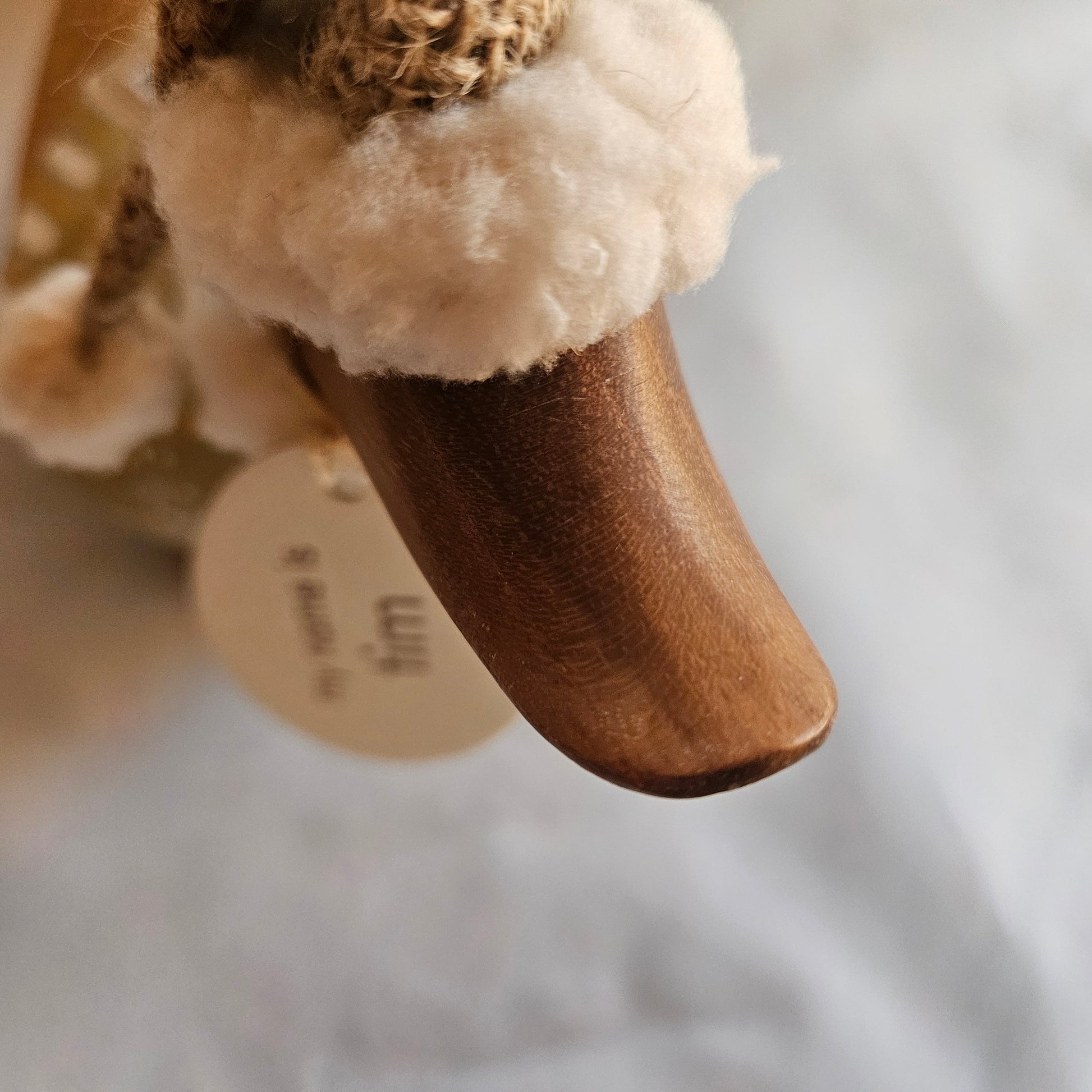 Tim julankan ovansidan av näbben - Naturboden