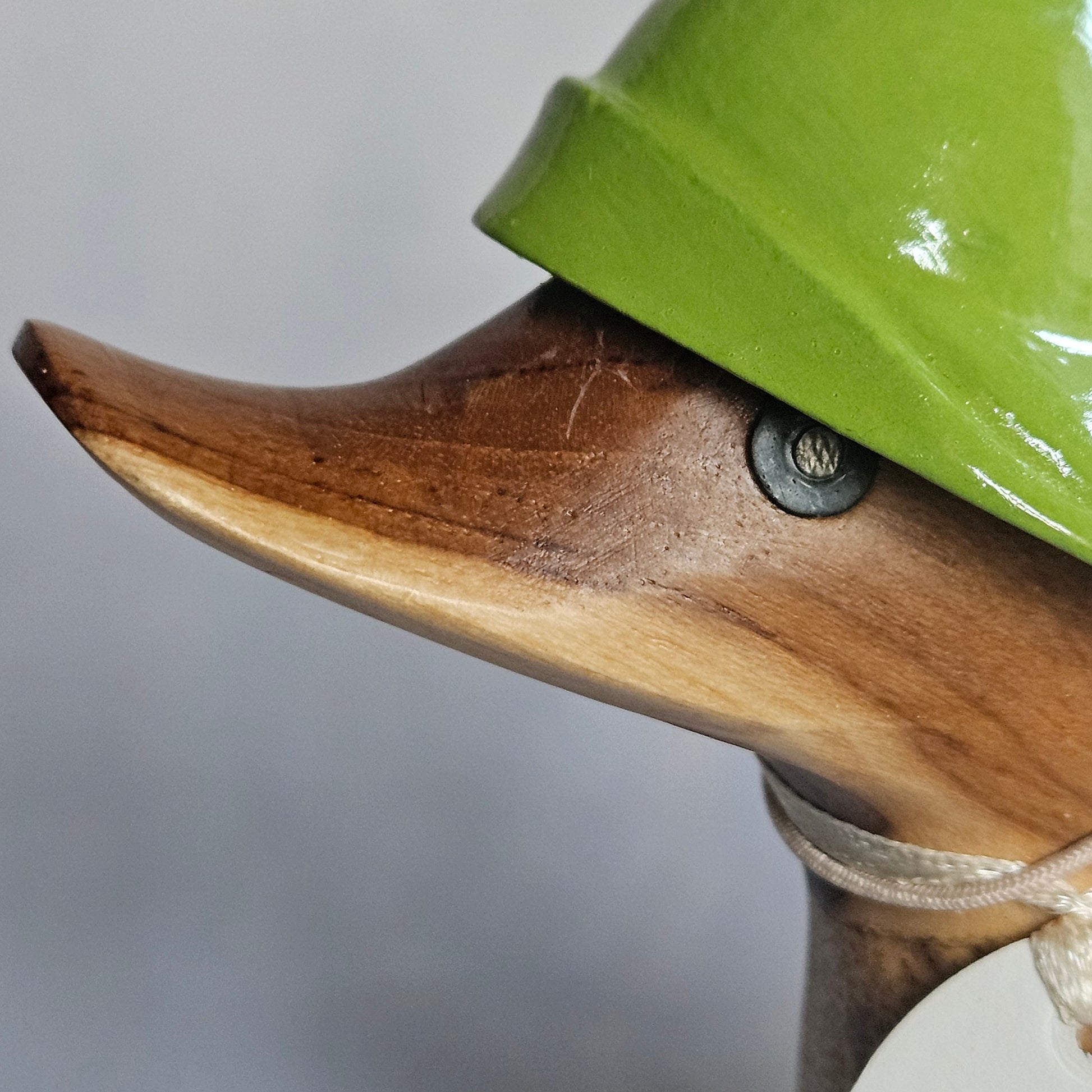 närblld på näbb anka i bambu - Naturboden