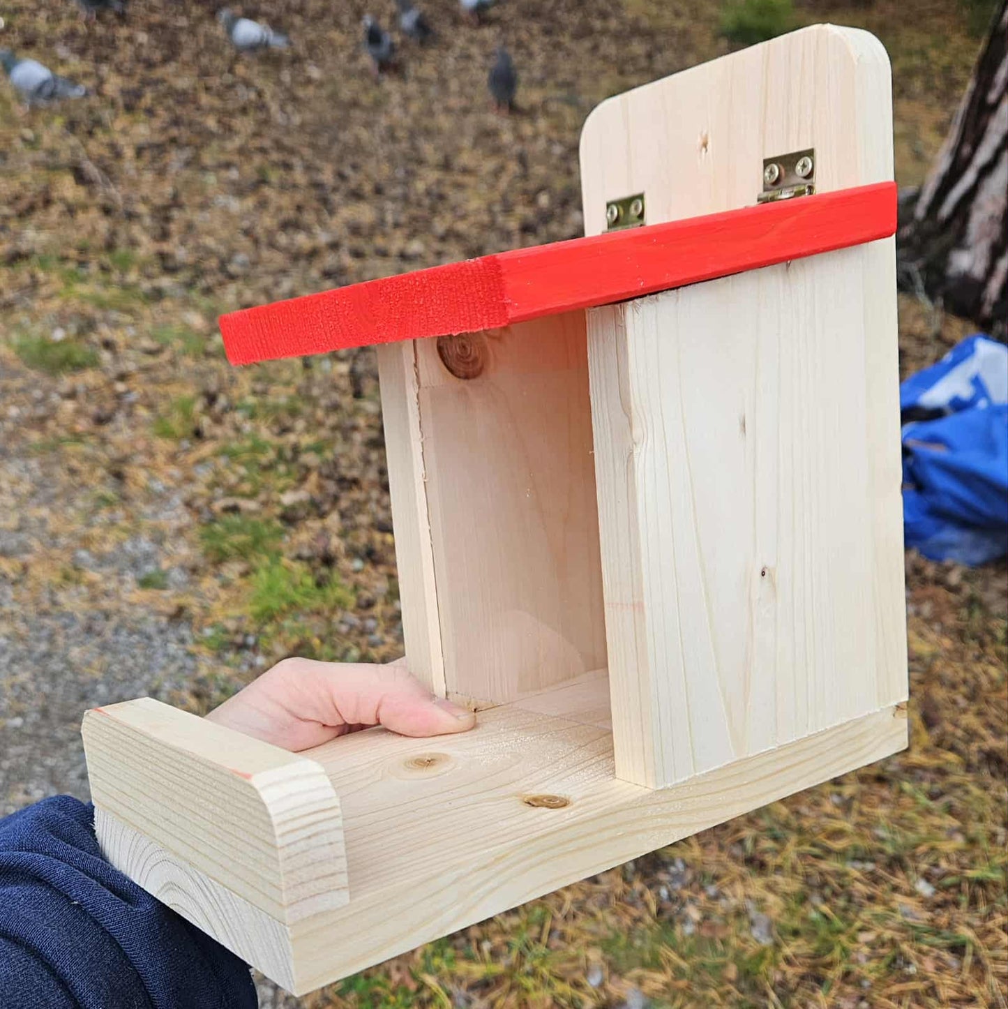 Ekorrmatare i trä med rött lock - Naturboden