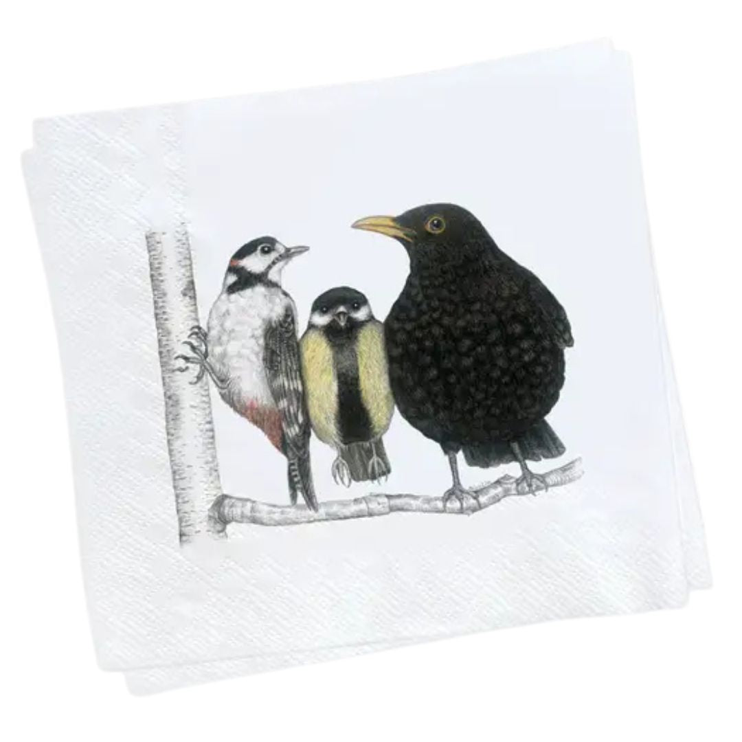 Servett Fåglar, hackspett, talgoxe, koltrast - Naturboden