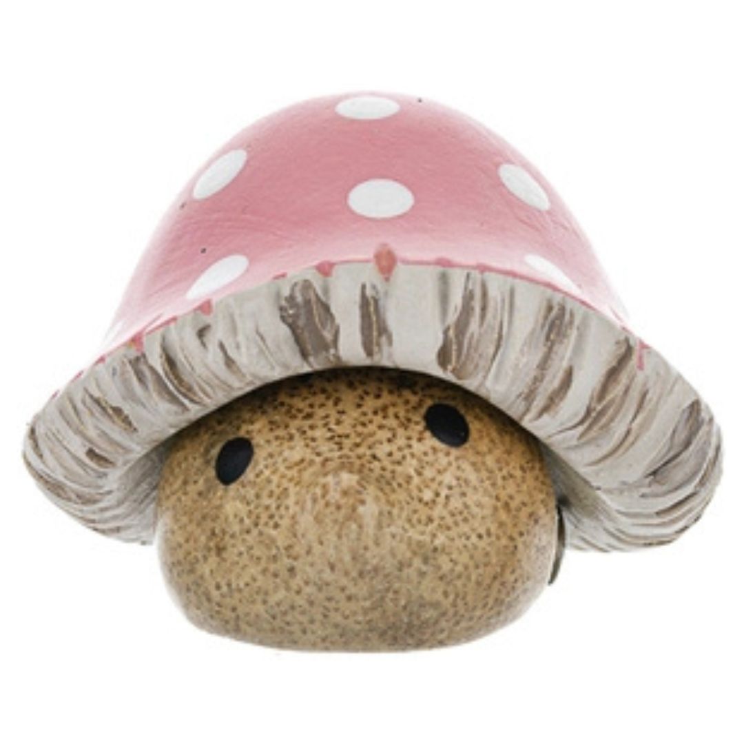 DCUK Igelkottar - flera färger Kommer snart! - Naturboden