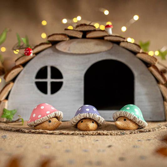 DCUK Igelkottar - flera färger Kommer snart! - Naturboden