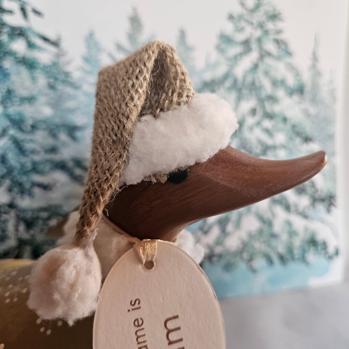 julankan Tim 12 cm huvud närbild - Naturboden