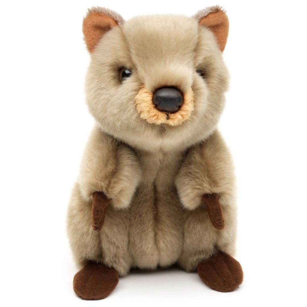 Mjukisdjur Quokka - Naturboden