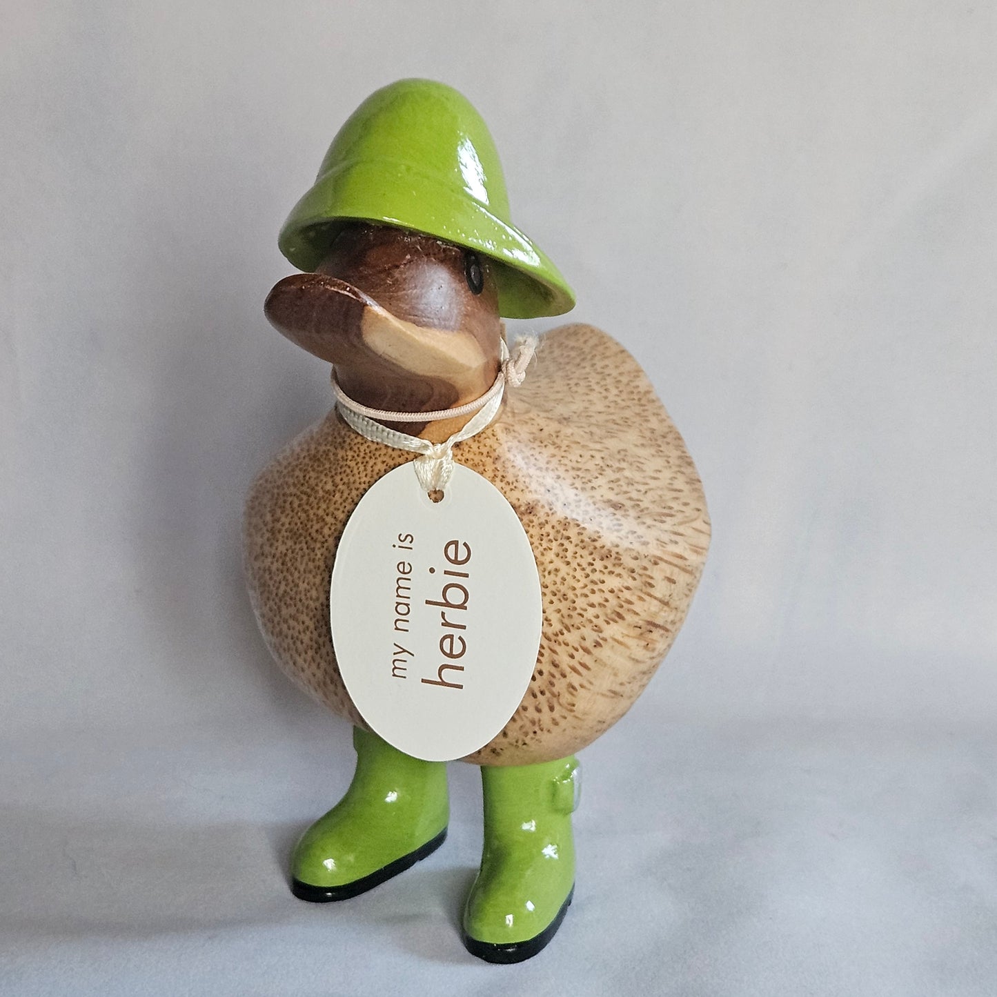 anka i bambu med grönt regnställ - Naturboden