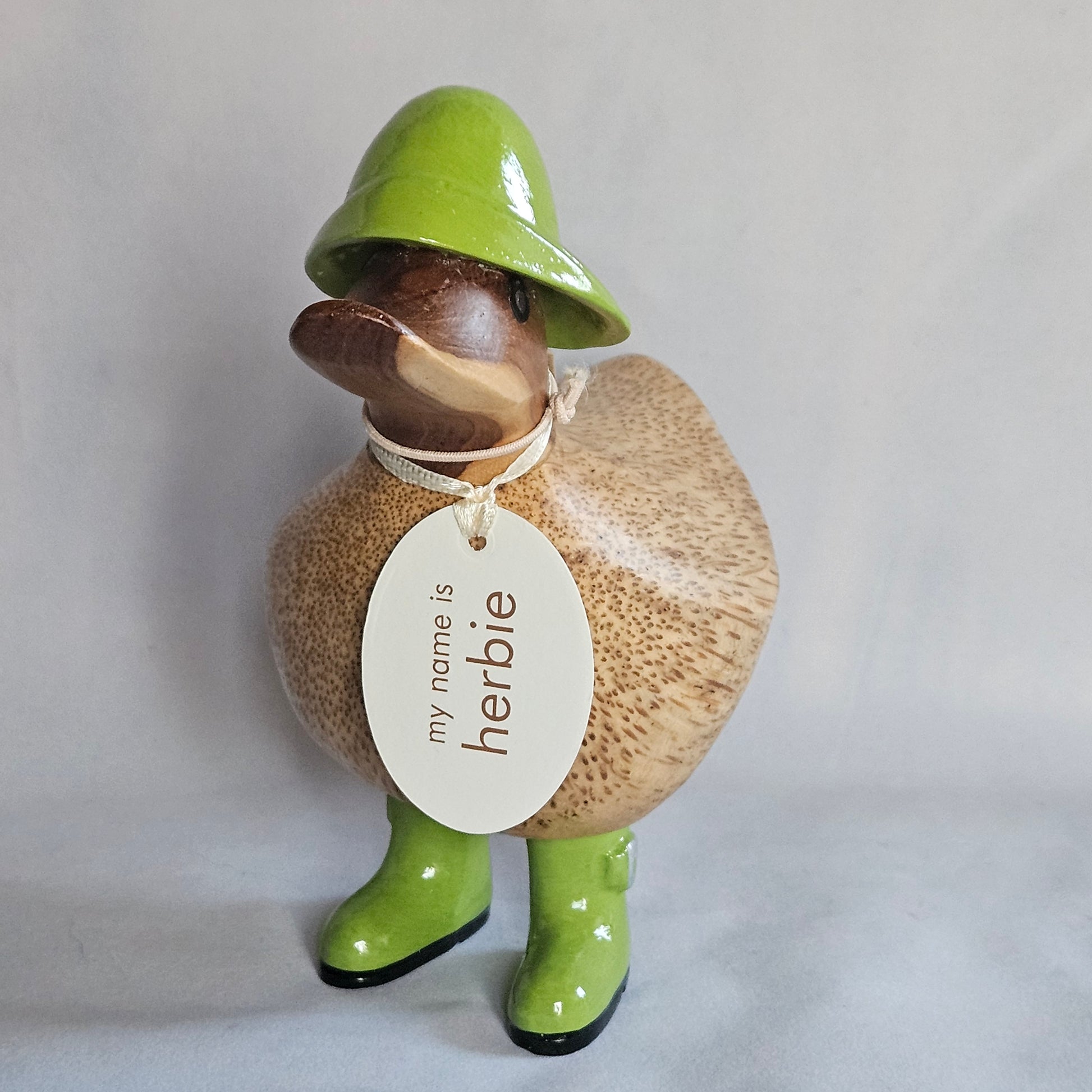 anka i bambu med grönt regnställ - Naturboden