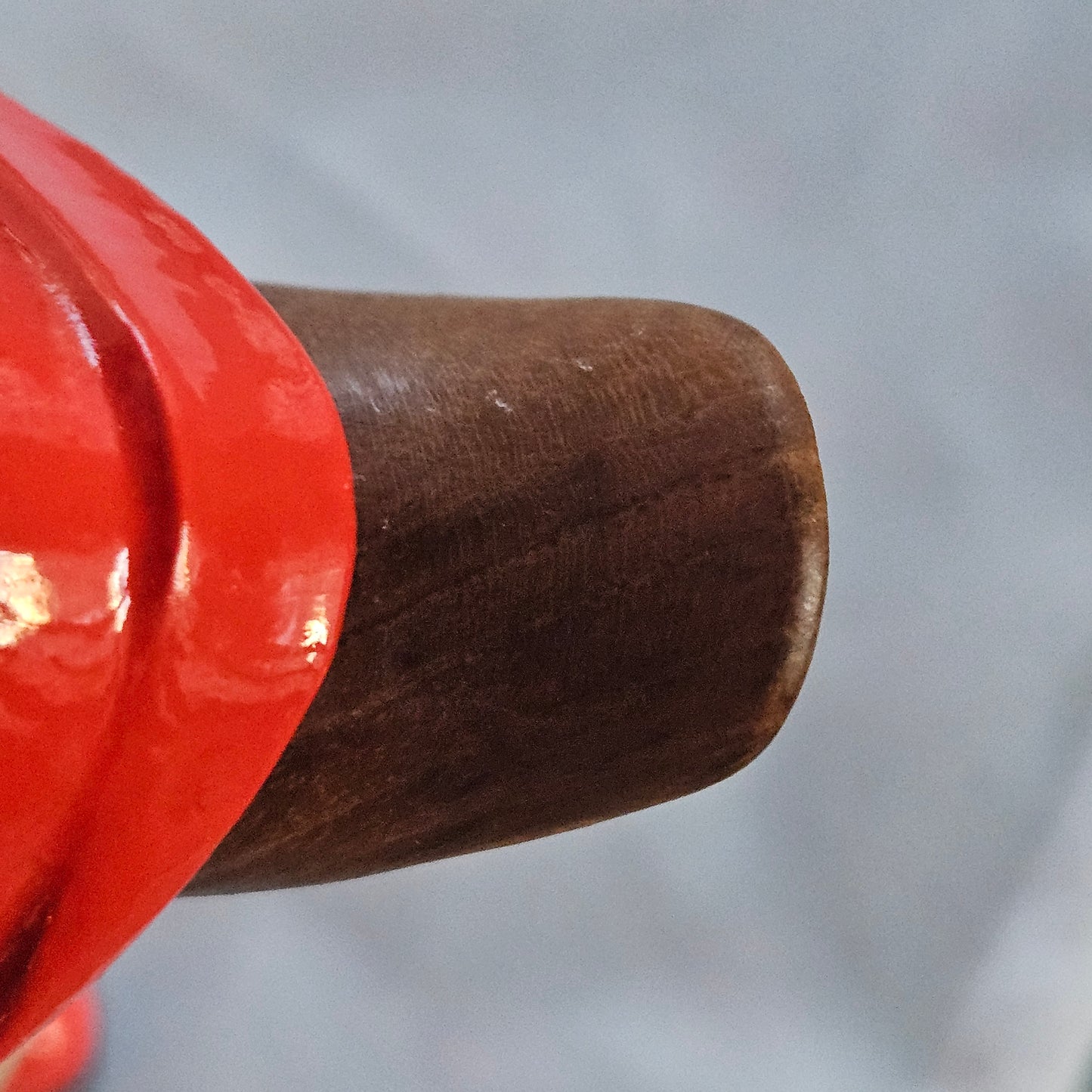 Närbild av Darcys näbb anka i bambu - Naturboden