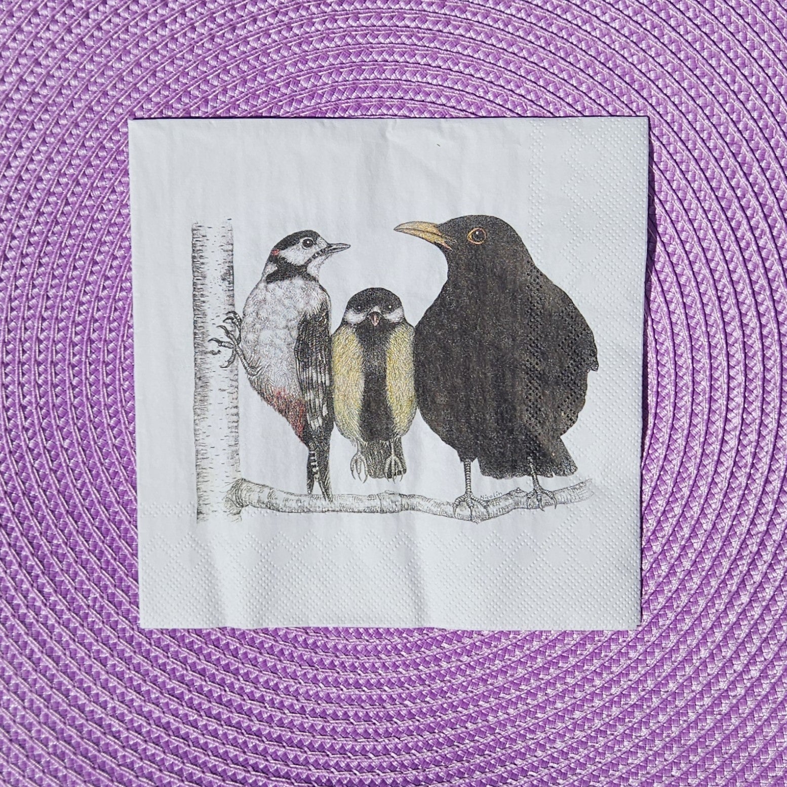 Servetter med fåglar 20-p - Naturboden