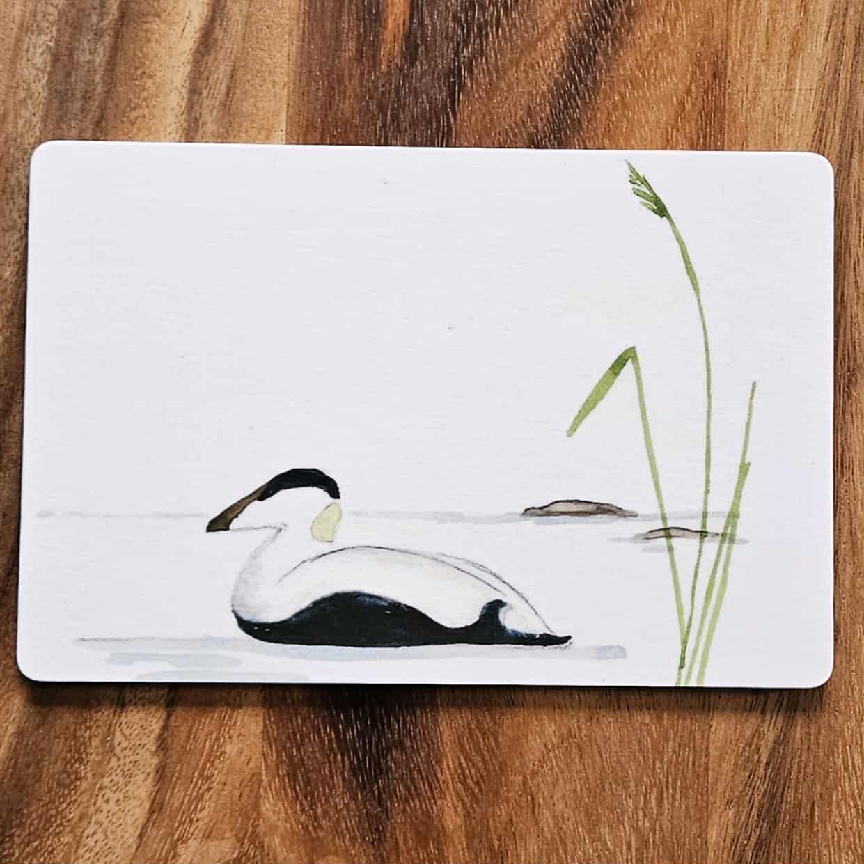 smörgåsunderlägg med ejder - Naturboden