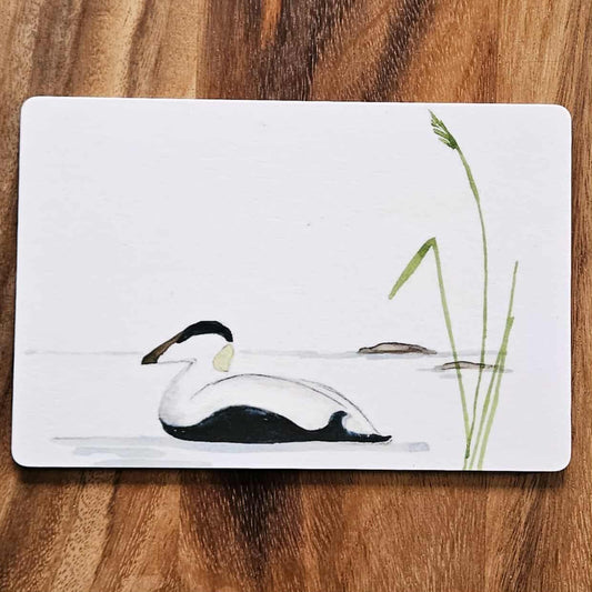 smörgåsunderlägg med ejder - Naturboden