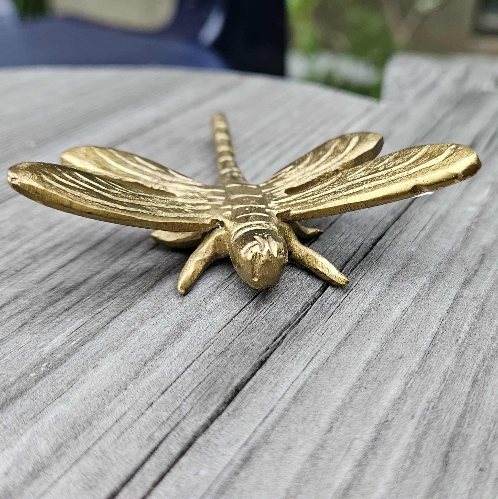 trollslända i mässing - Naturboden