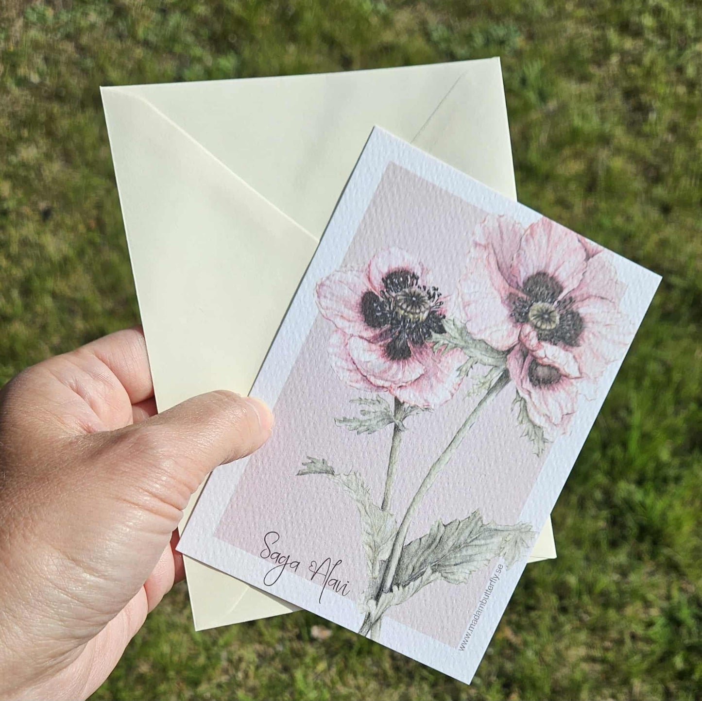 Vykort med kuvert rosa vallmo - Naturboden