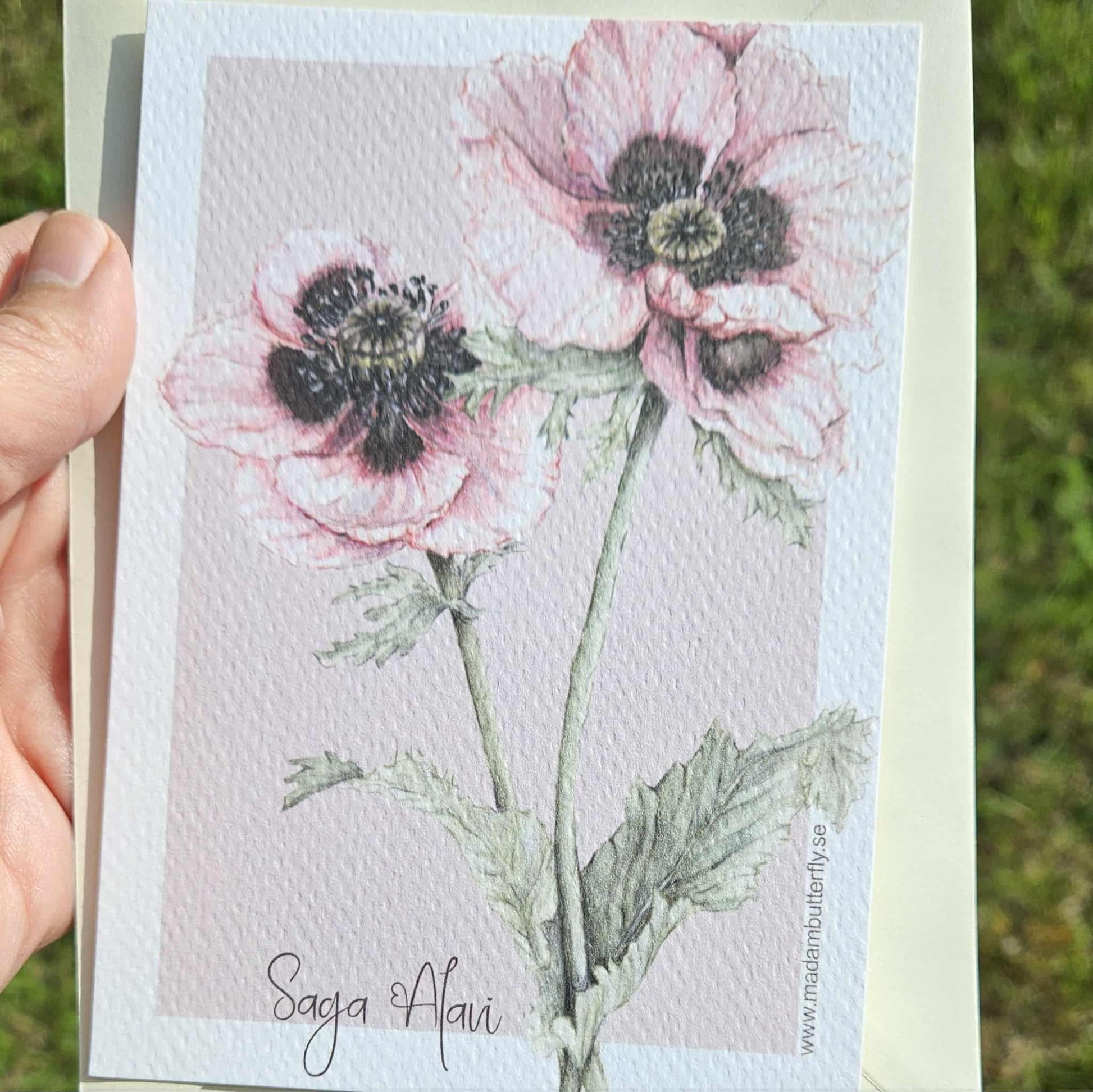 vykort rosa vallmo - Naturboden