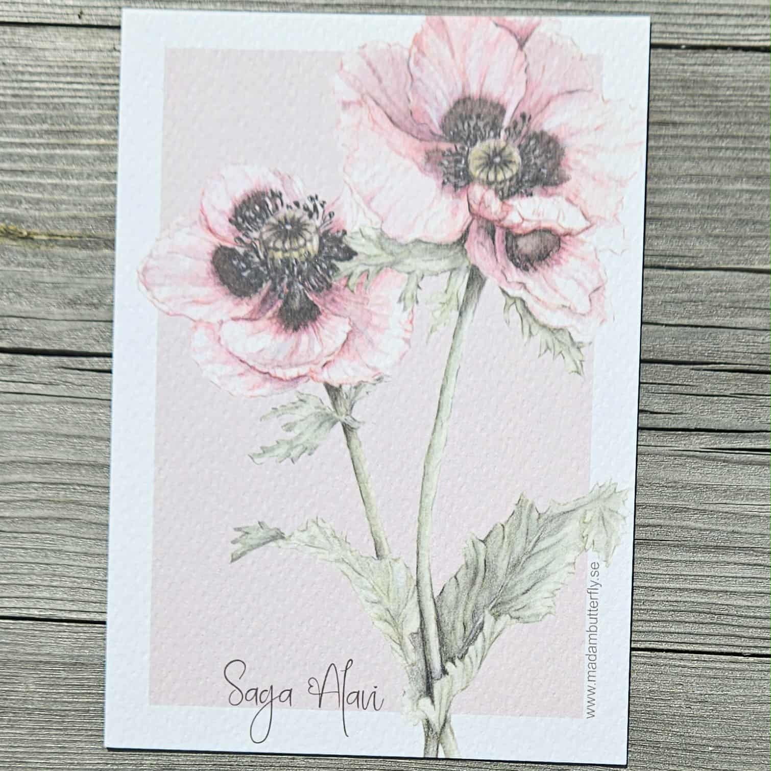 Vykort med rosa vallmo - Naturboden